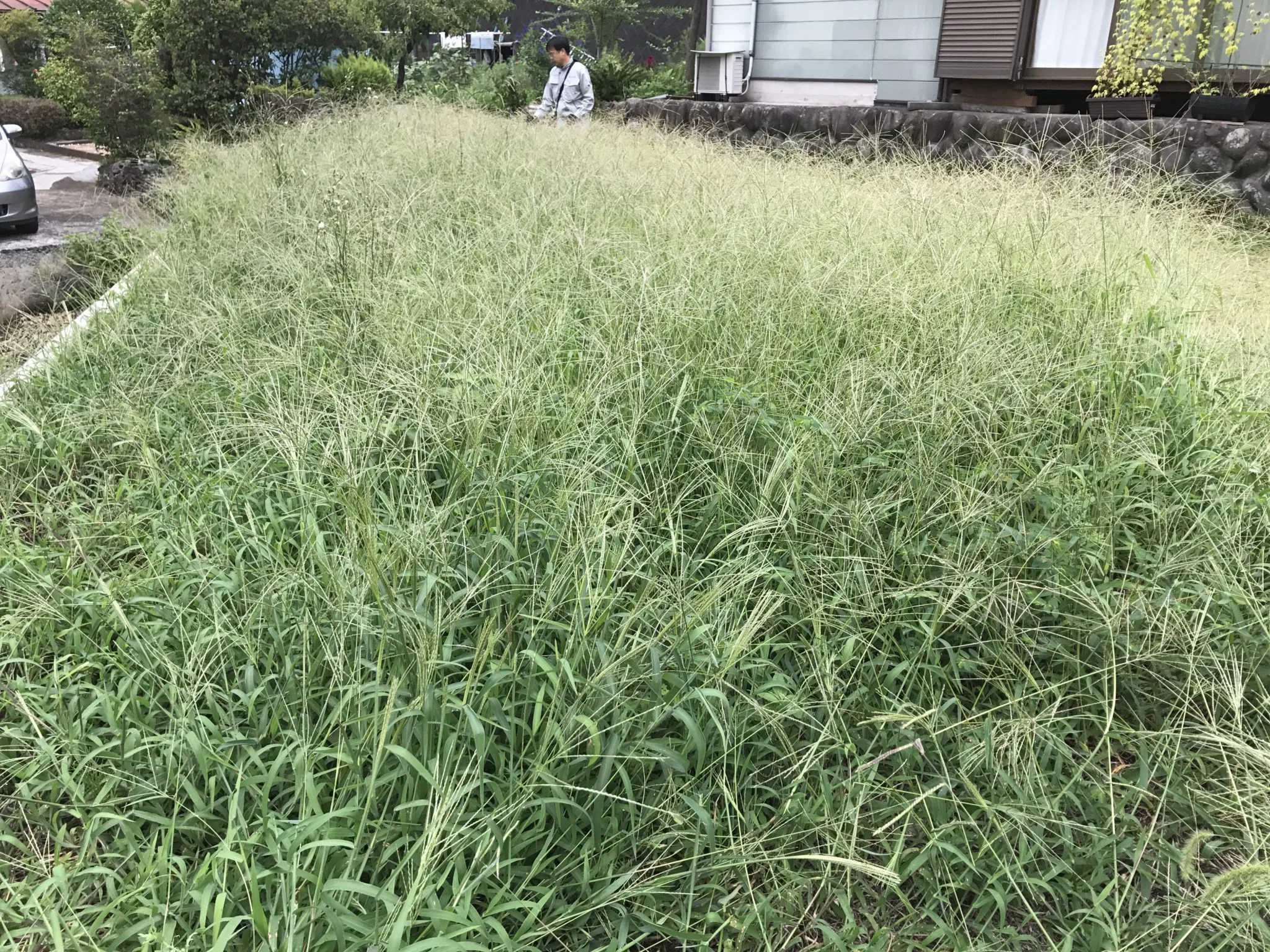 伊豆市Ｗ様邸　敷地