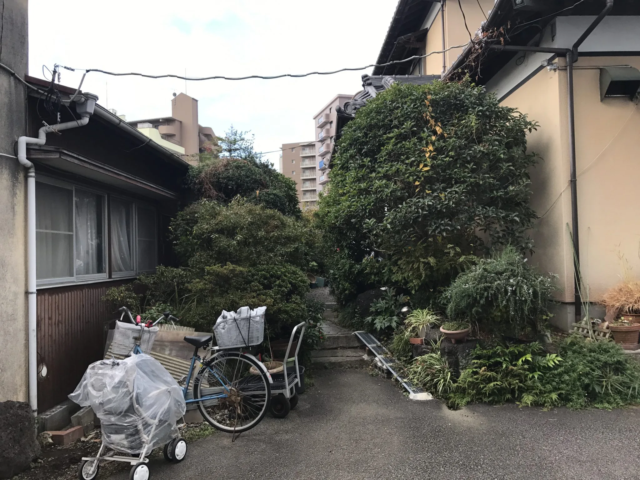 三島市Ｍ様邸解体・伐採工事