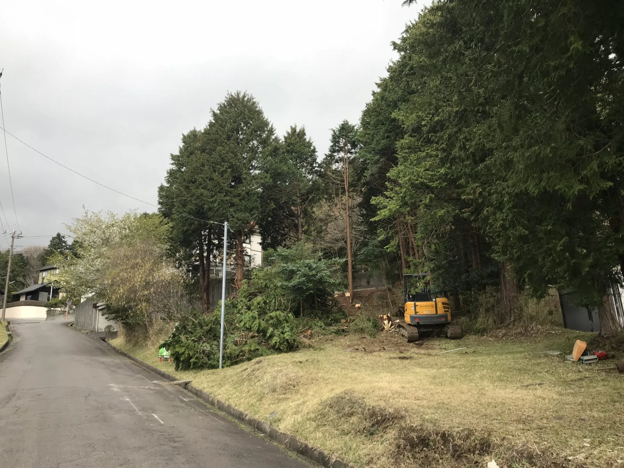 沼津市Ｇ様邸樹木伐採開始