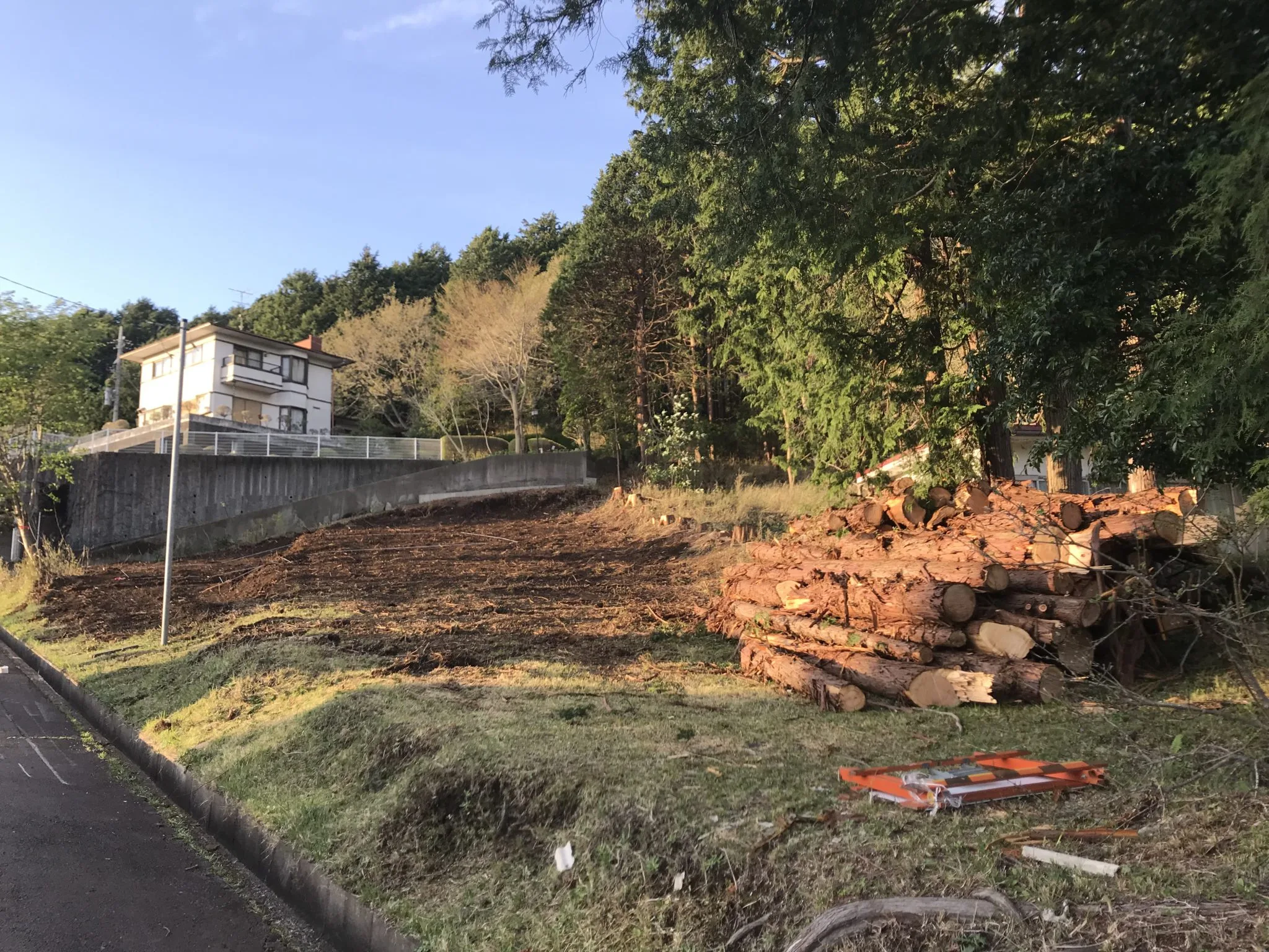 沼津市Ｇ様邸樹木伐採完了